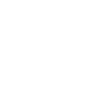 Auto Truck